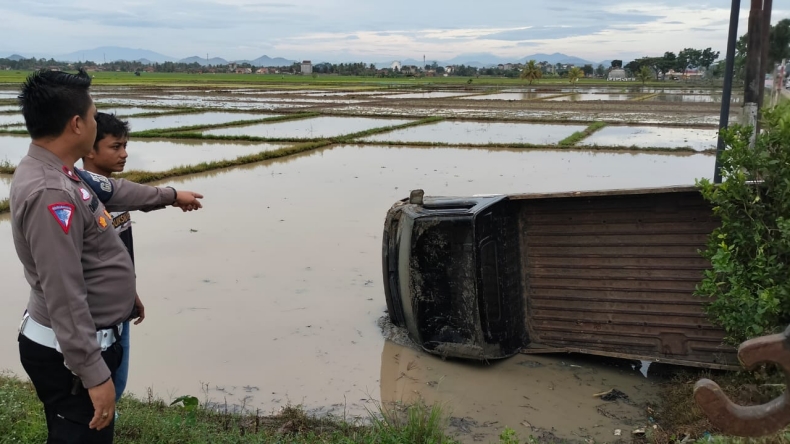 Panik Hindari Kucing, Mobil Pikap di Pringsewu Nyusruk ke Sawah