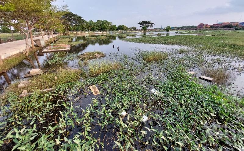 Ratusan Makam di TPU Budi Dharma Semper Teredam Banjir, Akibat Saluran Air Kecil dan Mampet
