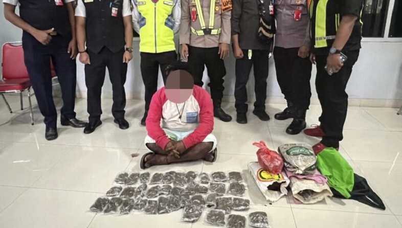 Bawa 3,8 Kg Ganja, Calon Penumpang Pesawat Dibekuk di Bandara Sentani