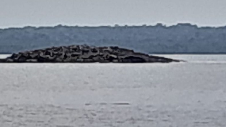 Penampakan Fenomena Munculnya Pulau Baru Setelah Gempa Besar Guncang Maluku