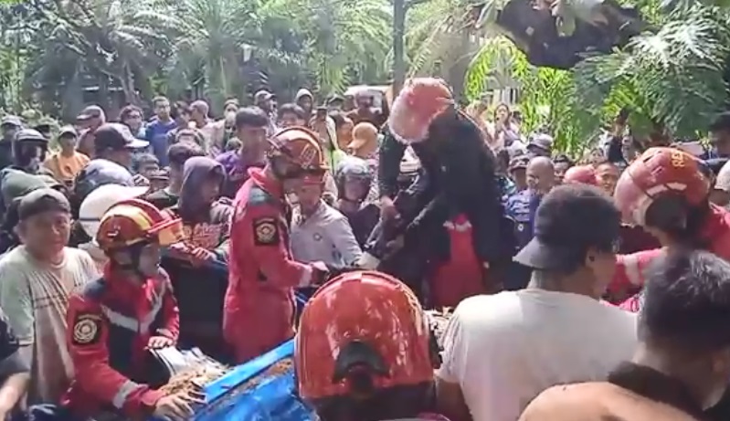 Detik-detik Driver Taksi Online Tewas Tertimpa Pohon Tumbang, Sempat Minta Tolong