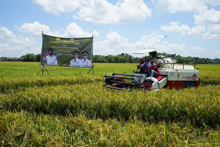 Panen Raya di Grobogan, Mentan Sebut Pasokan Beras Melimpah