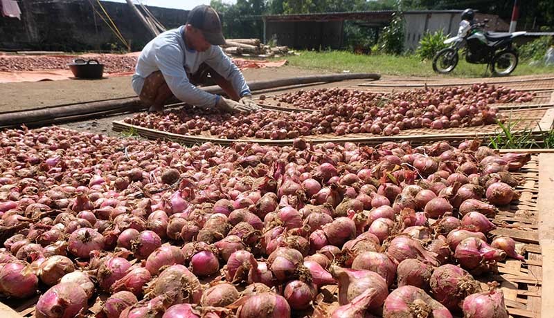 Bapanas Ungkap Penyebab Harga Bawang Merah Makin Mahal