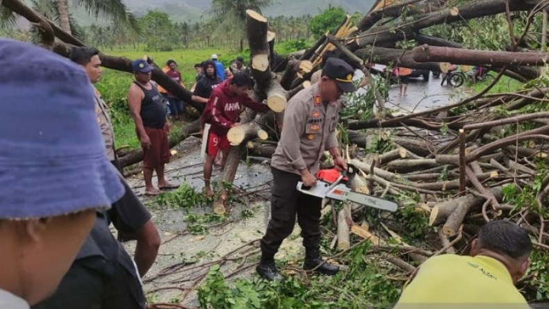 Pohon Tumbang di Lintas Sulawesi, Kapolres Gorontalo Utara Ingatkan Pengendara Hati-Hati