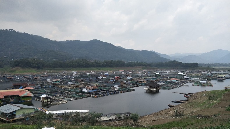 Antisipasi Kematian Massal Ikan, Ini yang Dilakukan Petani KJA di Waduk Saguling