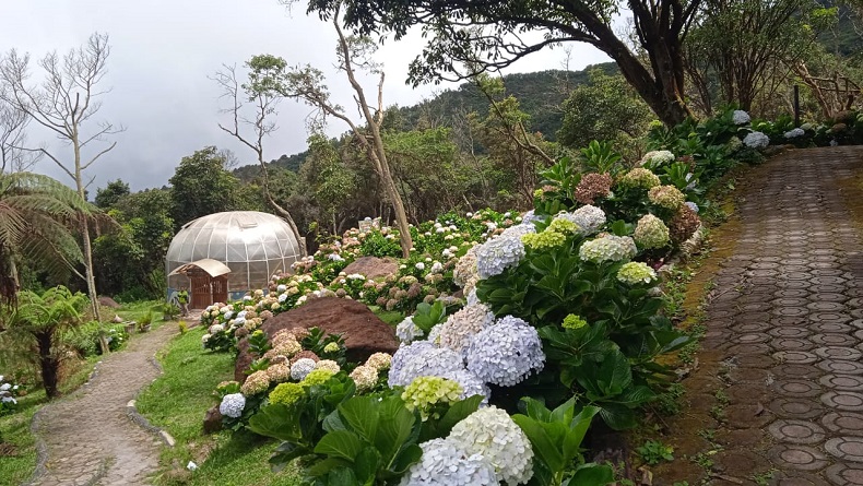 Orchid Garden, Pelestarian Anggrek Hutan Langka di Gunung Papandayan Garut