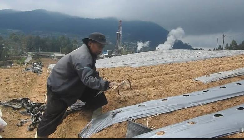 Gunung Dieng Berstatus Waspada, Warga dan Petani Nekat Beraktivitas di Area Zona Bahaya