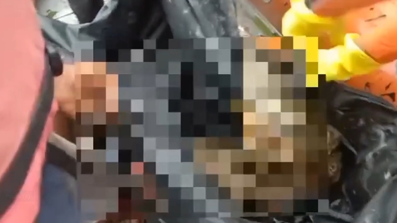Cari Korban yang Diterkam Buaya, Petugas Temukan Potongan Kaki dan Ginjal