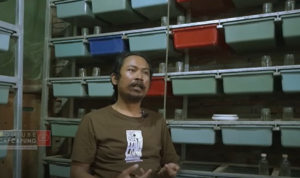 Berkah Menganggur, Pemuda Ini Akhirnya Sukses dari Ternak Tikus