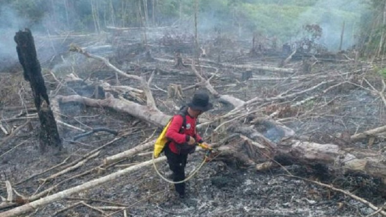 BMKG Deteksi 9 Titik Panas di Kaltim, Perlu Ditangani dengan Pemadaman