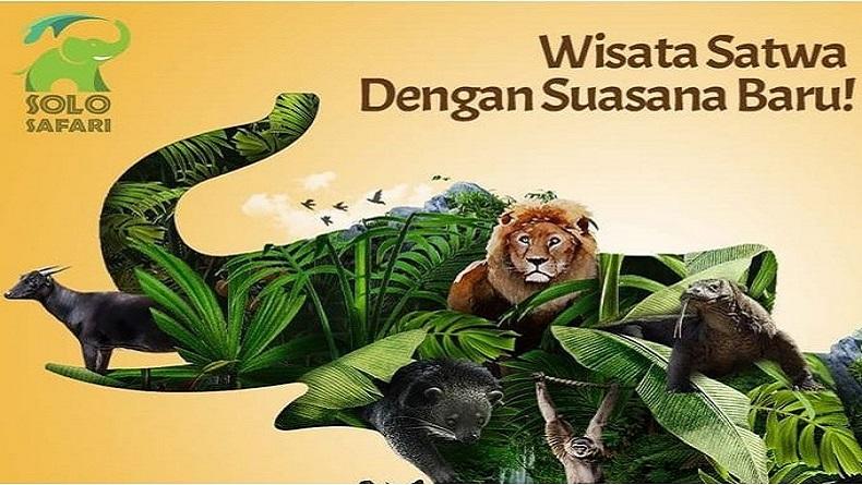 Beragam Keunikan Solo Safari yang akan Dibuka, Ada Kafe Menghadap Kandang Singa