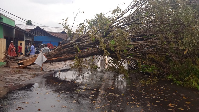 Hujan Disertai Angin Kencang di Sukoharjo, 2 Orang Dikabarkan Tewas Tertimpa Pohon