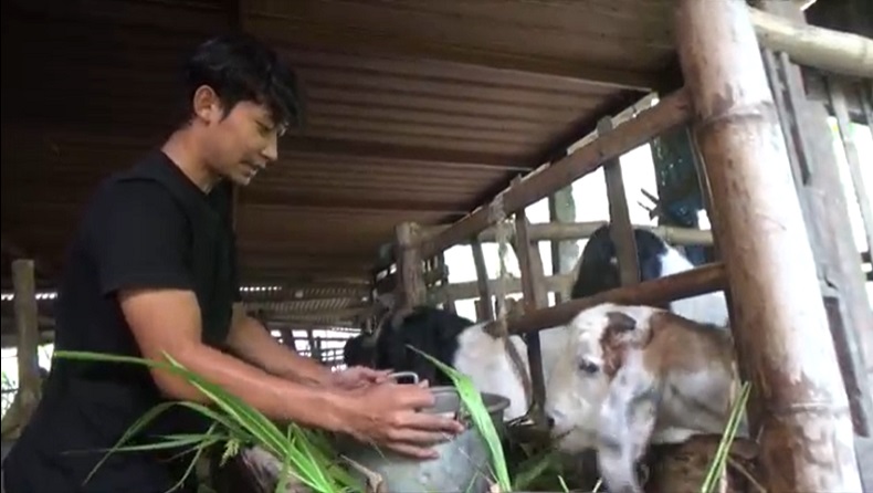 Liga 2 Berhenti, Pemain Gresik United Terpaksa Pulang Kampung Urus Kambing dan Sapi