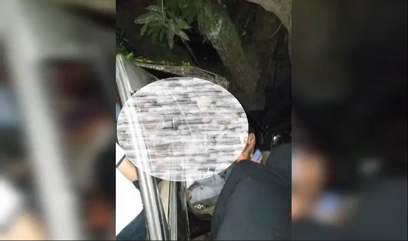 Detik-detik Minibus Tabrak Pohon Mangga di Pinrang hingga Mengakibatkan 4 Orang Tewas