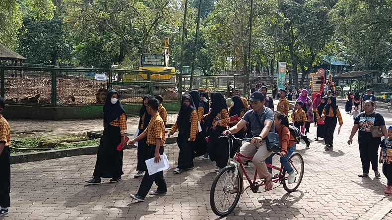 Pengunjung Ragunan Diminta Tak Main Lato-Lato Dekat Hewan, Suaranya Mengganggu