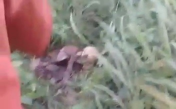 Geger, Warga Cilincing Temukan Kerangka Manusia Utuh Memakai Kalung dan Cincin