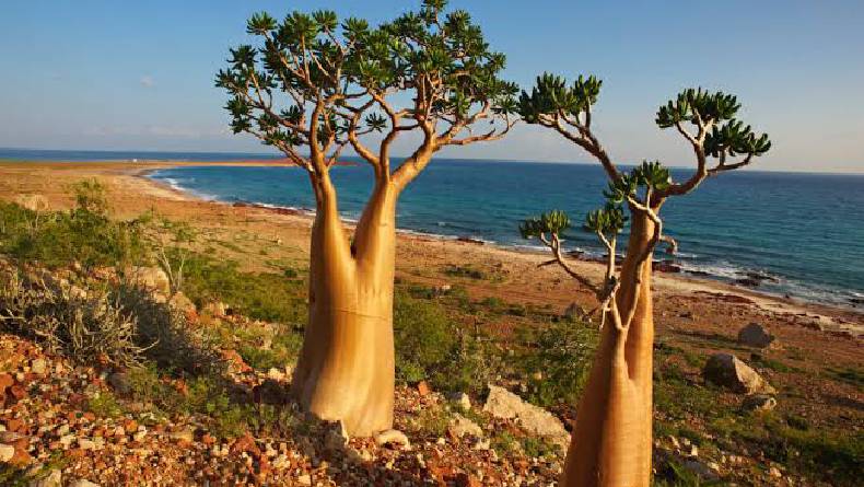 Masih Menjadi Misteri, 5 Tempat di Bumi dalam Alquran yang Belum Ditemukan sampai Sekarang