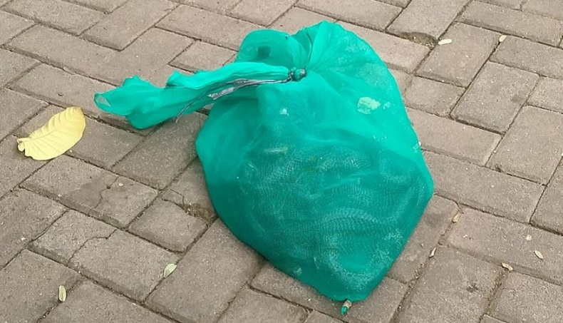 Rumah Eks Gubernur Banten Diteror, Demokrat: Tak Menyurutkan Semangat Perubahan