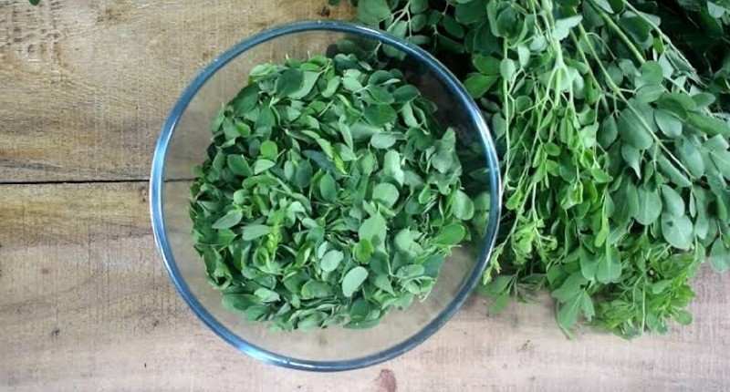 Yuk, Masak Daun Kelor, Berkhasiat Kontrol Gula Darah hingga Jaga Kesehatan Kulit 