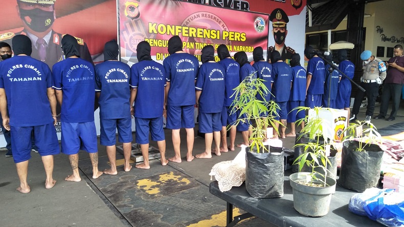 14 Pengedar Narkoba di Cimahi dan KBB Ditangkap, 1 Pelaku Tanam Ganja di Polibag
