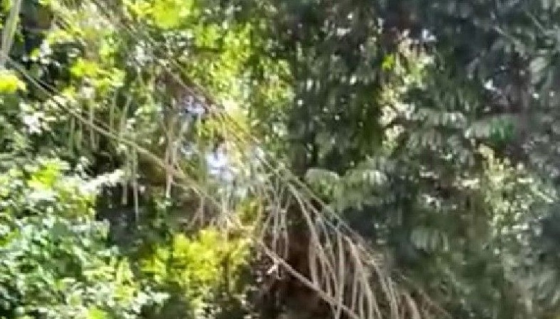 Prajurit TNI Hilang Terseret Arus Sungai Digul Pegunungan Bintang