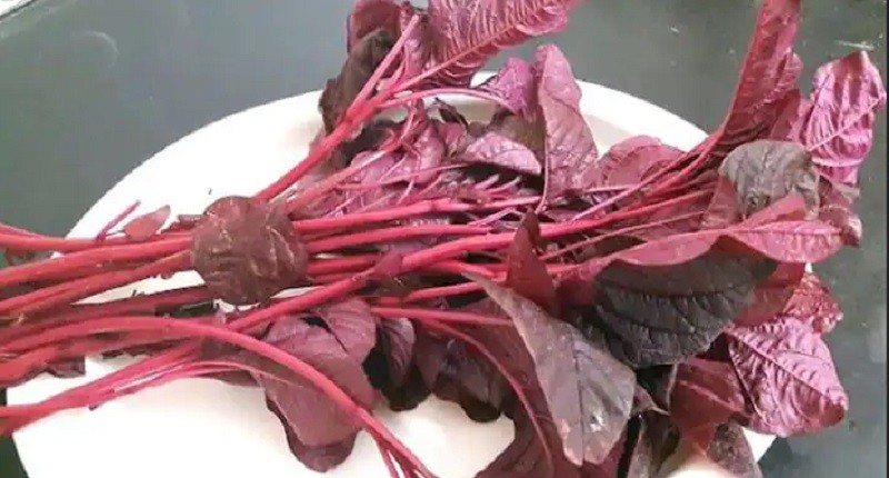 Pernah Makan Bayam Merah? Ternyata Khasiatnya Penting Buat yang Gemar Olahraga!