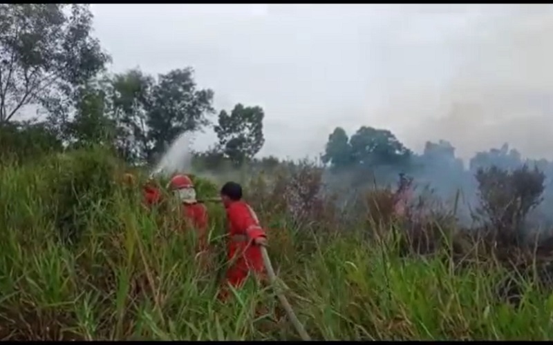  Lahan Gambut di Ogan Ilir Terbakar, Petugas Sempat Kewalahan Memadamkan Api 