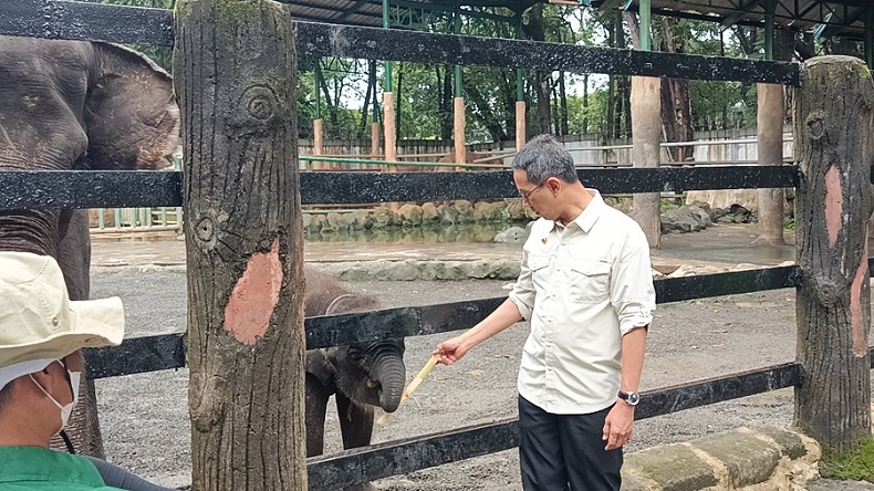 Pj Gubernur DKI Tengok Anak Gajah dan Jerapah di Ragunan, Dinamai Unggul dan TaZoo