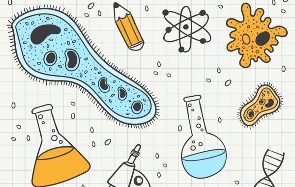 8 Fungsi Membran Sel yang Pending dalam Tubuh Beserta Penjelasannya