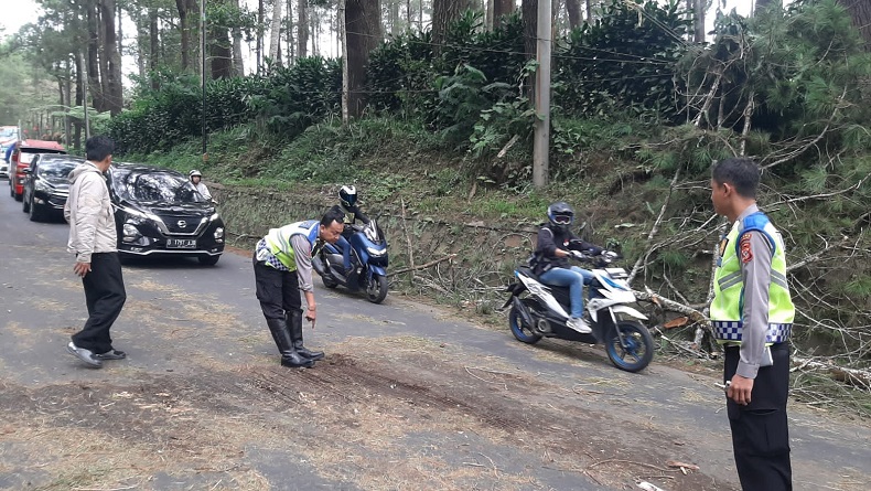 Pengendara Motor asal Karawang Tewas Tertimpa Pohon Tumbang di Lembang KBB