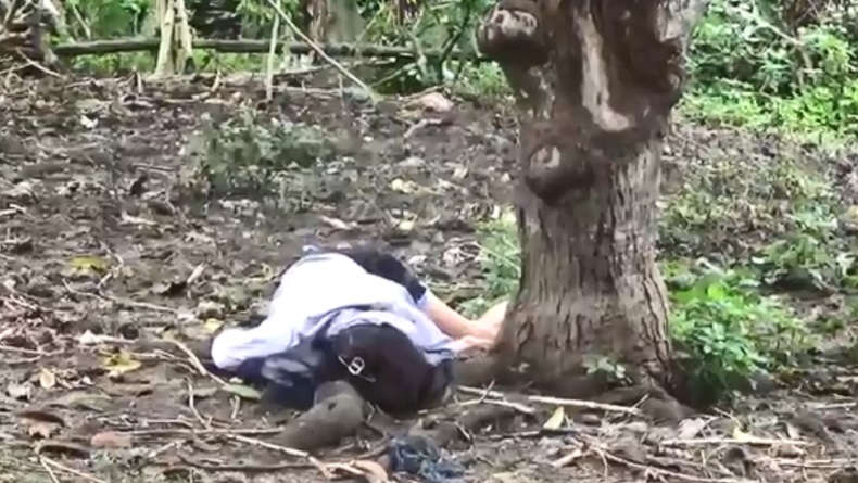 Heboh Bule Perempuan Tertidur di Bawah Pohon dekat Kandang Sapi di Bali, Ini Kesaksian Warga