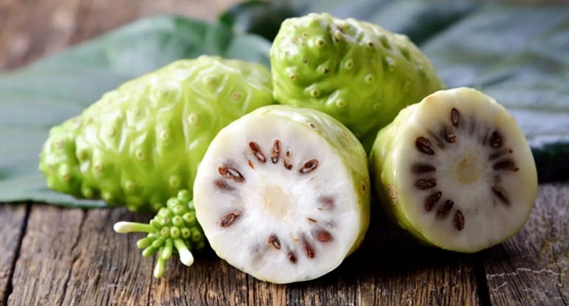 Cara Mengolah Buah Mengkudu yang Enak dan Segar, Wajib Coba Dibuat Jus!