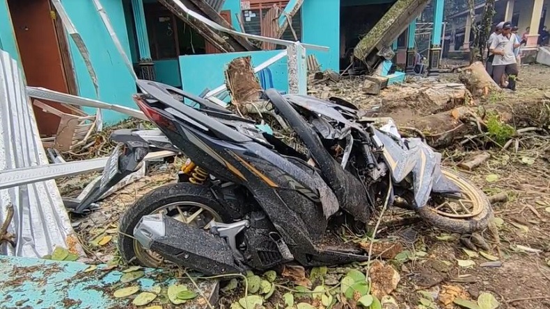 Pohon Berusia Ratusan Tahun Tumbang di Boyolali, Timpa Warung dan Motor 