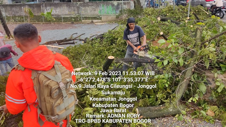 Angin Kencang di Jonggol, 2 Pemotor Luka Kena Pohon Tumbang