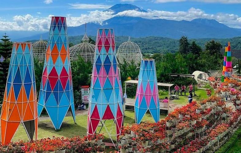Harga Tiket Masuk Taman Bunga Celosia, Hanya Rp25.000 Dapat Beragam Spot Foto 