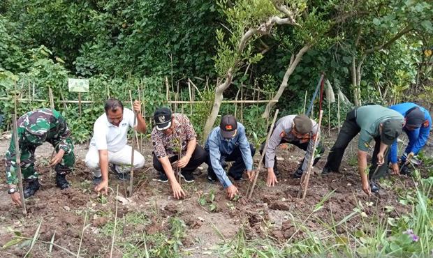 Joko Purnomo Sebut Penanaman Mangrove Dukung Upaya Penyelamatan Lingkungan