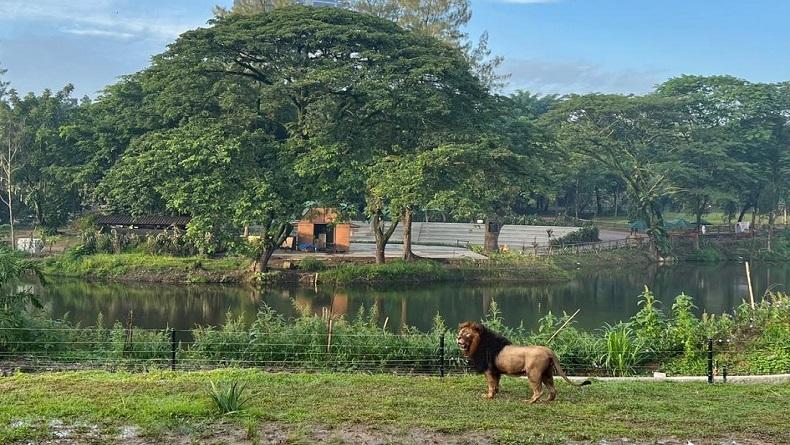 5 Tempat Healing di Solo yang Harus Dikunjungi, Nomor 3 Favorit Ganjar Pranowo