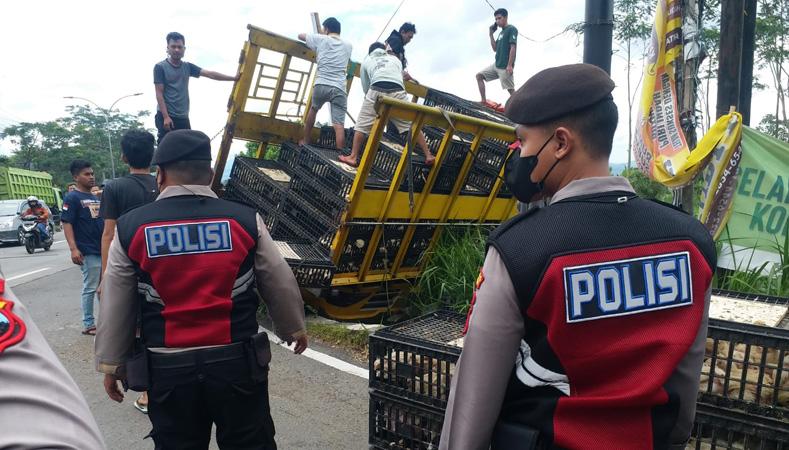  Hantam Pembatas Jalan di JLS Salatiga, Truk Muatan Ratusan Ayam Terperosok ke Parit