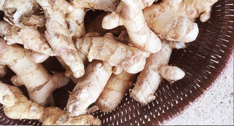 Cara Mengolah Kunyit Putih Jadi Minuman Sehat dan Segar