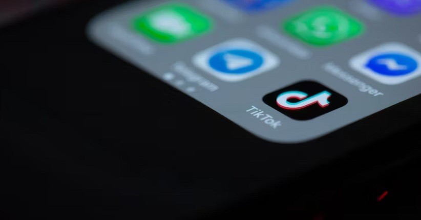 Harga Gift TikTok Paling Mahal, Ada Singa yang Tembus Rp7 Jutaan