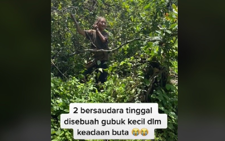 Bikin Haru, 2 Bersaudara Buta Hidup dalam Gubuk di Tengah Hutan Kintamani Bali