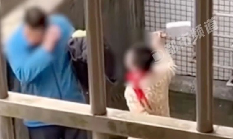 Parah, Bocah SD Ancam Tikam Ayahnya Pakai Pisau Daging gegara Dilarang Main Game Online