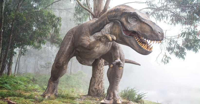 Dinosaurus Non-burung Dipercaya Punya Syrinx, Dapat Keluarkan Suara Kicauan