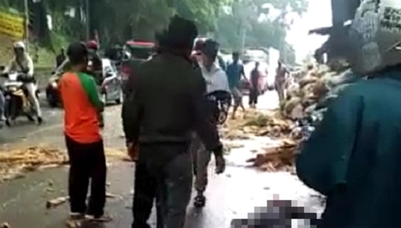 Tertimpa Batang Pohon di Bogor, Pemotor Terluka