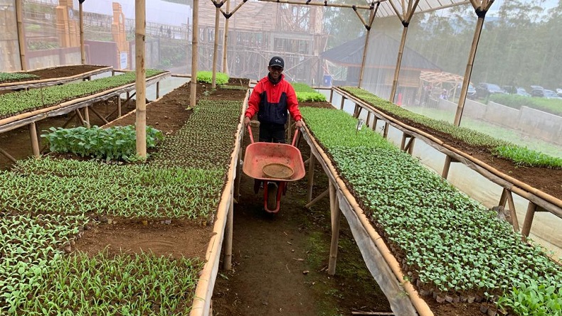 Pria asal Lembang KBB yang Sempat Terpuruk karena Narkoba Sukses Bertani
