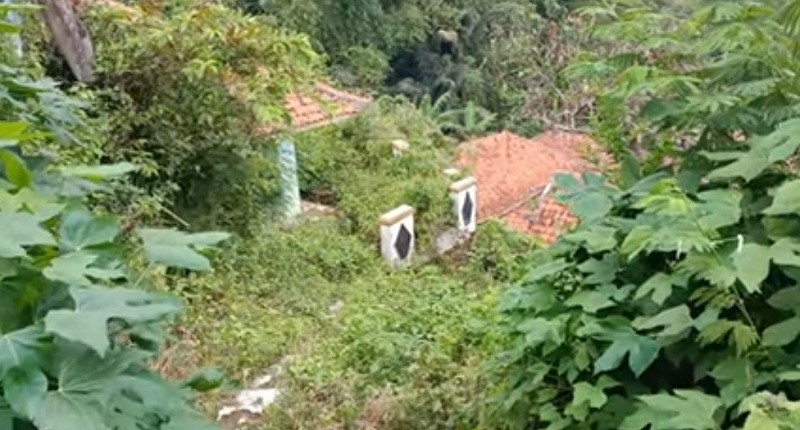 Kampung Mati di Lereng Gunung yang Dihuni 1 Keluarga, Hanya Tersisa Ternak dan Kebun 