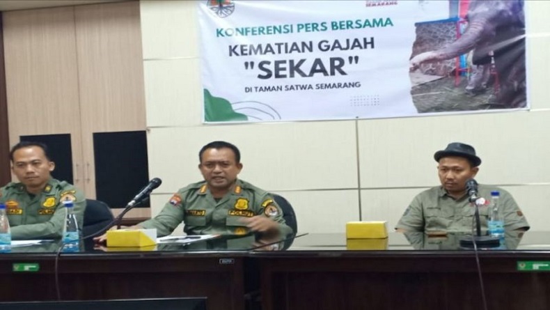 Gajah Betina Koleksi Semarang Zoo Mati, Kenapa?