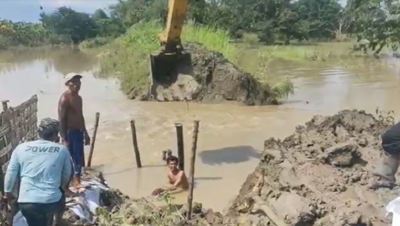 Atasi Banjir, Pemkab Gresik Perbaiki Tanggul Jebol dengan Bambu dan Karung Pasir