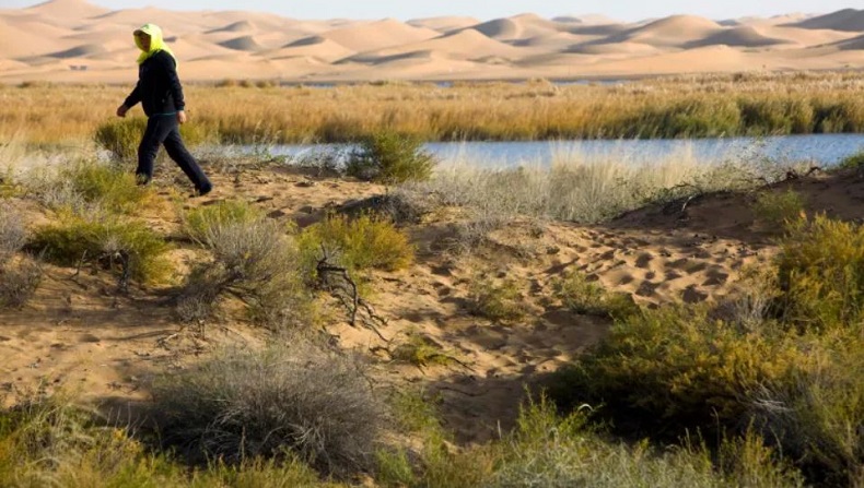 Tambang Batu Bara Runtuh, 2 Pekerja Tewas 50 Lainnya Terkubur