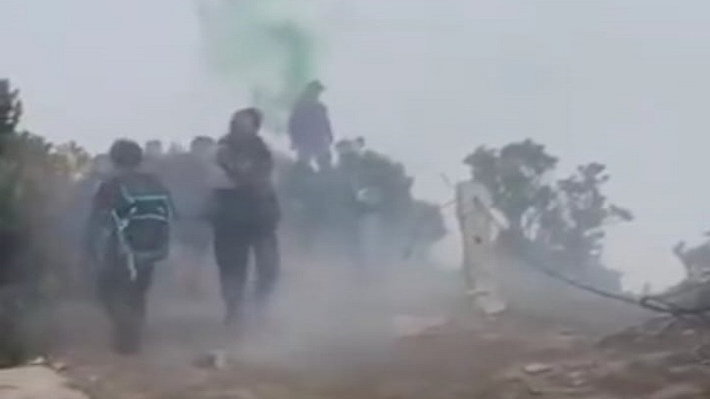Viral Pendaki Gunung Gede Pangrango Nyalakan Bom Asap, Ini Respons TNGP Cianjur